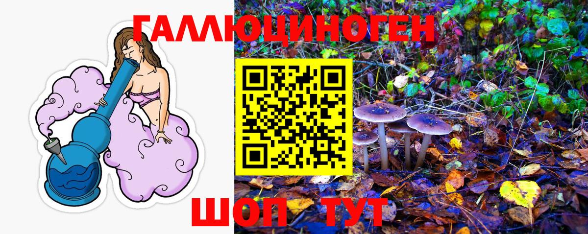 Галлюциногенные грибы прущие грибы Россия