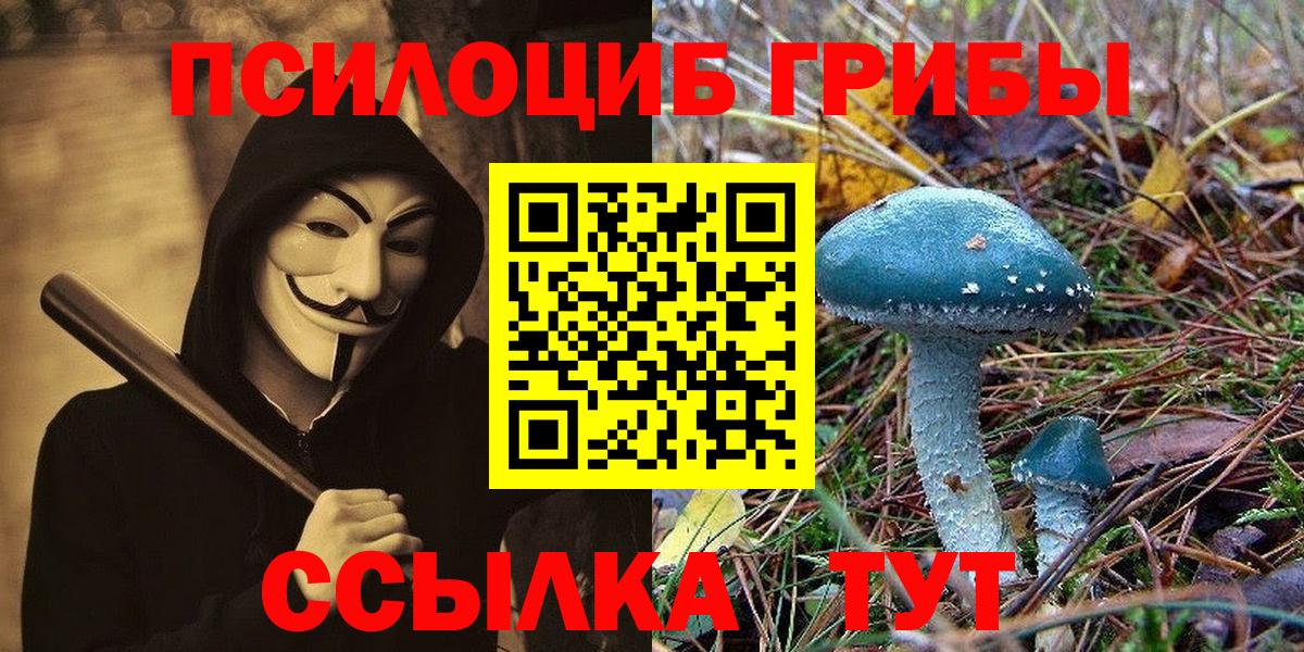 Россия  Галлюциногенные грибы Cubensis  Галлюциногенные грибы ЛСД  Вход с VPN 